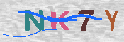 キャプチャ画像