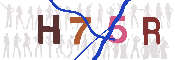 キャプチャ画像