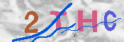 キャプチャ画像