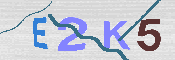 キャプチャ画像