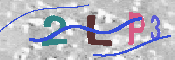 キャプチャ画像