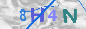 キャプチャ画像