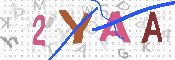 キャプチャ画像