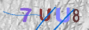 キャプチャ画像