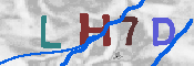 キャプチャ画像