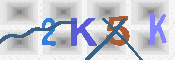 キャプチャ画像
