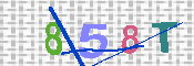 キャプチャ画像