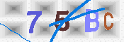 キャプチャ画像