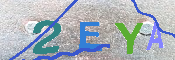 キャプチャ画像