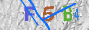 キャプチャ画像