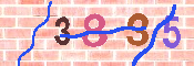 キャプチャ画像