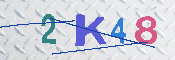 キャプチャ画像