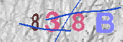 キャプチャ画像