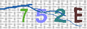 キャプチャ画像
