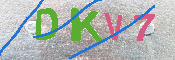 キャプチャ画像
