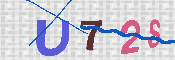 キャプチャ画像