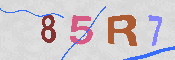 キャプチャ画像