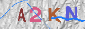 キャプチャ画像