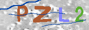 キャプチャ画像