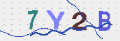 キャプチャ画像