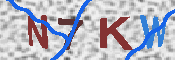 キャプチャ画像