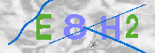 キャプチャ画像