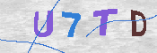 キャプチャ画像