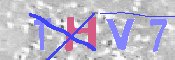キャプチャ画像