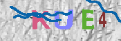 キャプチャ画像