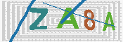 キャプチャ画像
