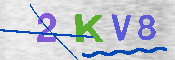 キャプチャ画像