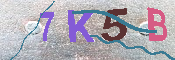 キャプチャ画像