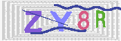 キャプチャ画像