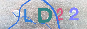 キャプチャ画像