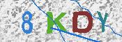キャプチャ画像