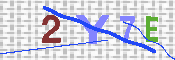 キャプチャ画像