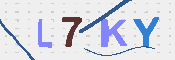 キャプチャ画像