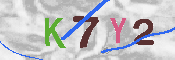 キャプチャ画像