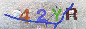 キャプチャ画像