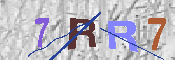 キャプチャ画像