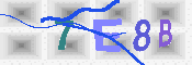 キャプチャ画像