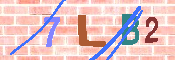 キャプチャ画像