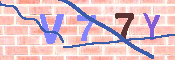 キャプチャ画像