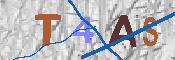 キャプチャ画像