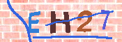 キャプチャ画像