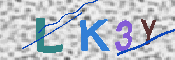 キャプチャ画像
