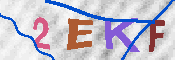 キャプチャ画像