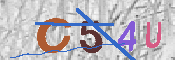 キャプチャ画像
