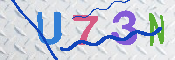 キャプチャ画像