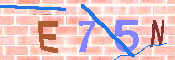 キャプチャ画像